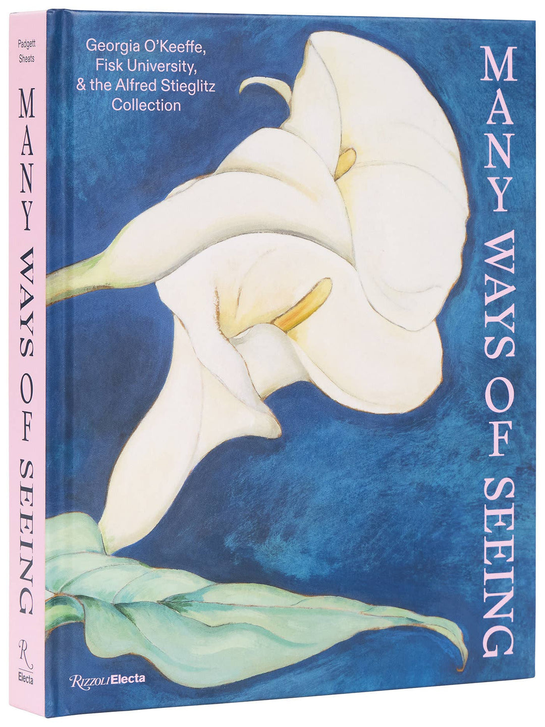 MANY WAYS OF SEEING