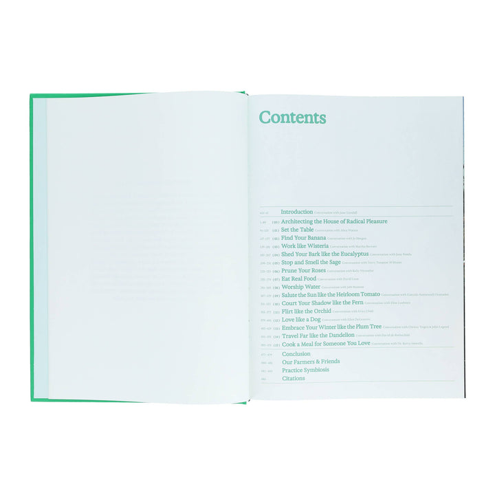 Flamingo Estate: The Guide to Becoming Alive