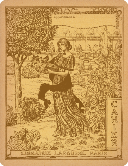 Larousse Books - French Notebook