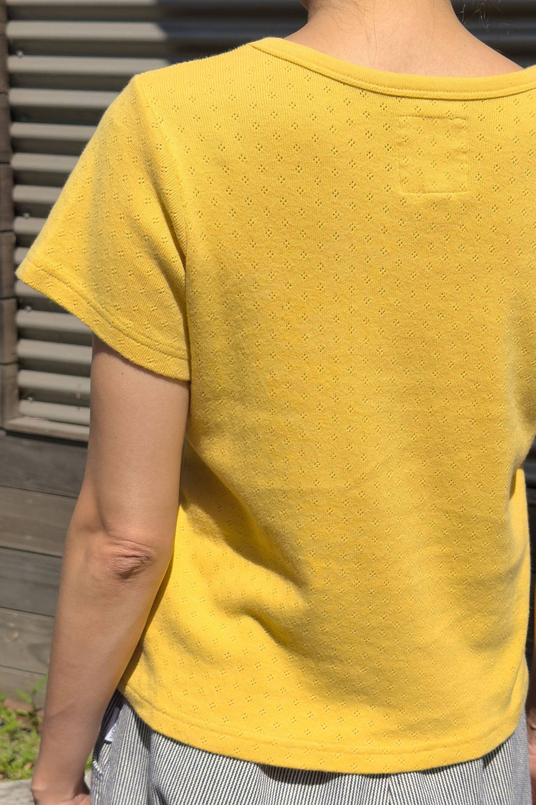Pointelle Babe Tee: Deep Yellow