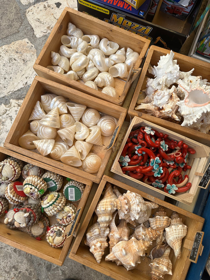 Savoring Puglia Retreat: Sun, Sea, and Soul in September - (August 29th - September 5th, 2026)