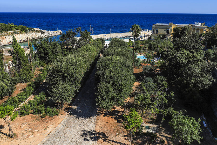 Savoring Puglia Retreat: Sun, Sea, and Soul in September - (August 29th - September 5th, 2026)