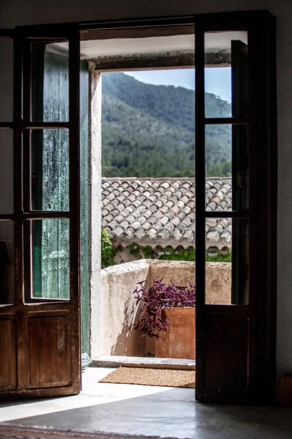 Made in Mallorca: A Creative + Wellness Immersion Retreat (September 13-18, 2026)