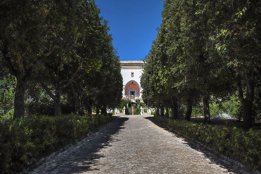 Savoring Puglia Retreat: Sun, Sea, and Soul in September - (August 29th - September 5th, 2026)