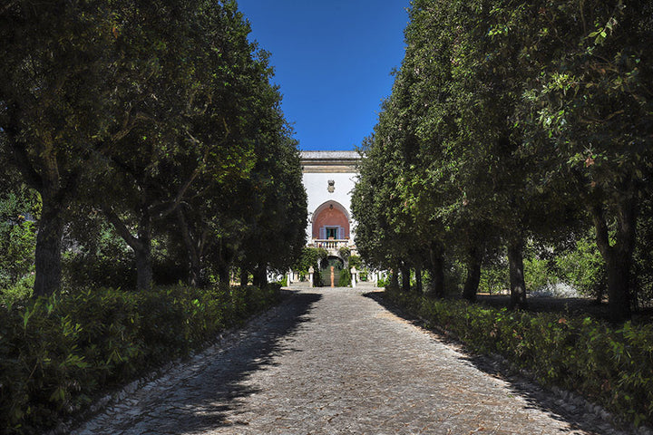 Savoring Puglia Retreat: Sun, Sea, and Soul in September - (August 29th - September 5th, 2026)